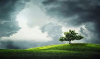 希望充满阳光的文案 生活充满阳光的文案