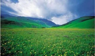 请问:从那拉提至伊宁一天有几趟班车 伊犁那拉提草原