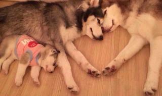 相亲相爱一家亲的意思是什么 相亲相爱一家人mtv