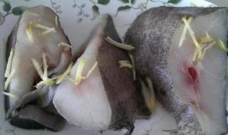 黄鲤鱼代表什么意思 什么鱼被称为软黄金