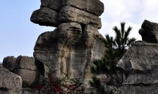 万盛到底是该叫万盛经开区还是綦江区 綦江万盛