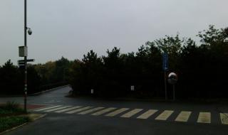 沈阳奥林匹克体育场哪个门检票 奥林匹克森林公园西门