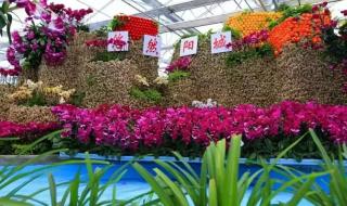 求助~!皇城相府的皇帝登基表演是几点开始的门票现在多少钱 皇城相府门票多少钱