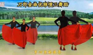 盘点广场舞一族最爱的几首歌 手心里的温柔广场舞