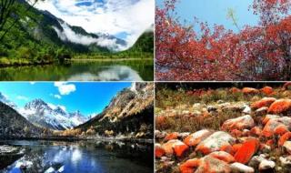 成都海昌极地海洋公园99和198区别 成都海昌极地海洋馆