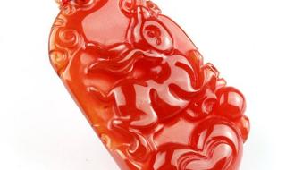 12生肖梅花是什么生肖 象是哪个民族的生肖