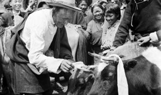 求歌词:翻身农奴把歌唱才旦卓玛 舞蹈翻身农奴把歌唱