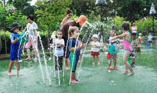 上海野生动物园游乐场可以免费玩吗 游乐场免费被挤爆